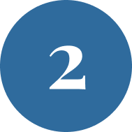 Group 41